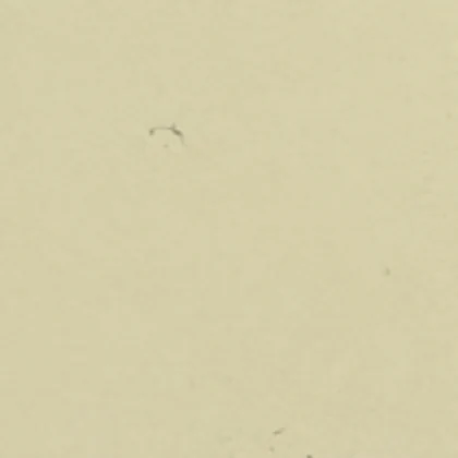 Pearl White PM-502 laminate surface